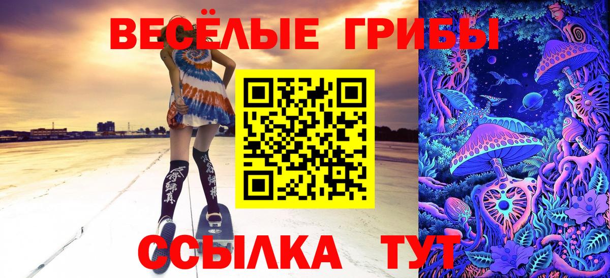 Псилоцибиновые грибы мицелий  Вход с VPN  Галлюциногенные грибы мицелий  Егорьевск 
